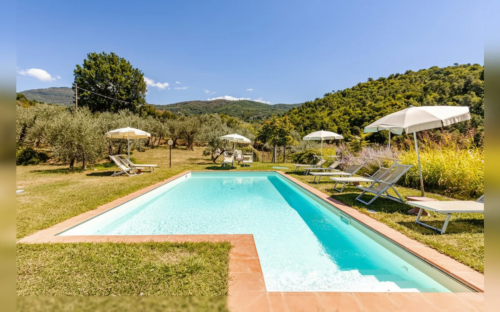 Agriturismo Il Bellini,  — galleria foto 126