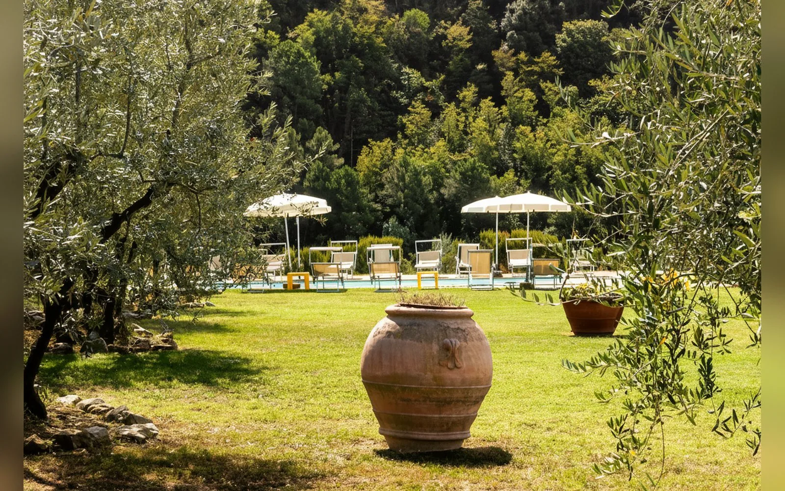 Agriturismo Il Bellini,  — galleria foto 156