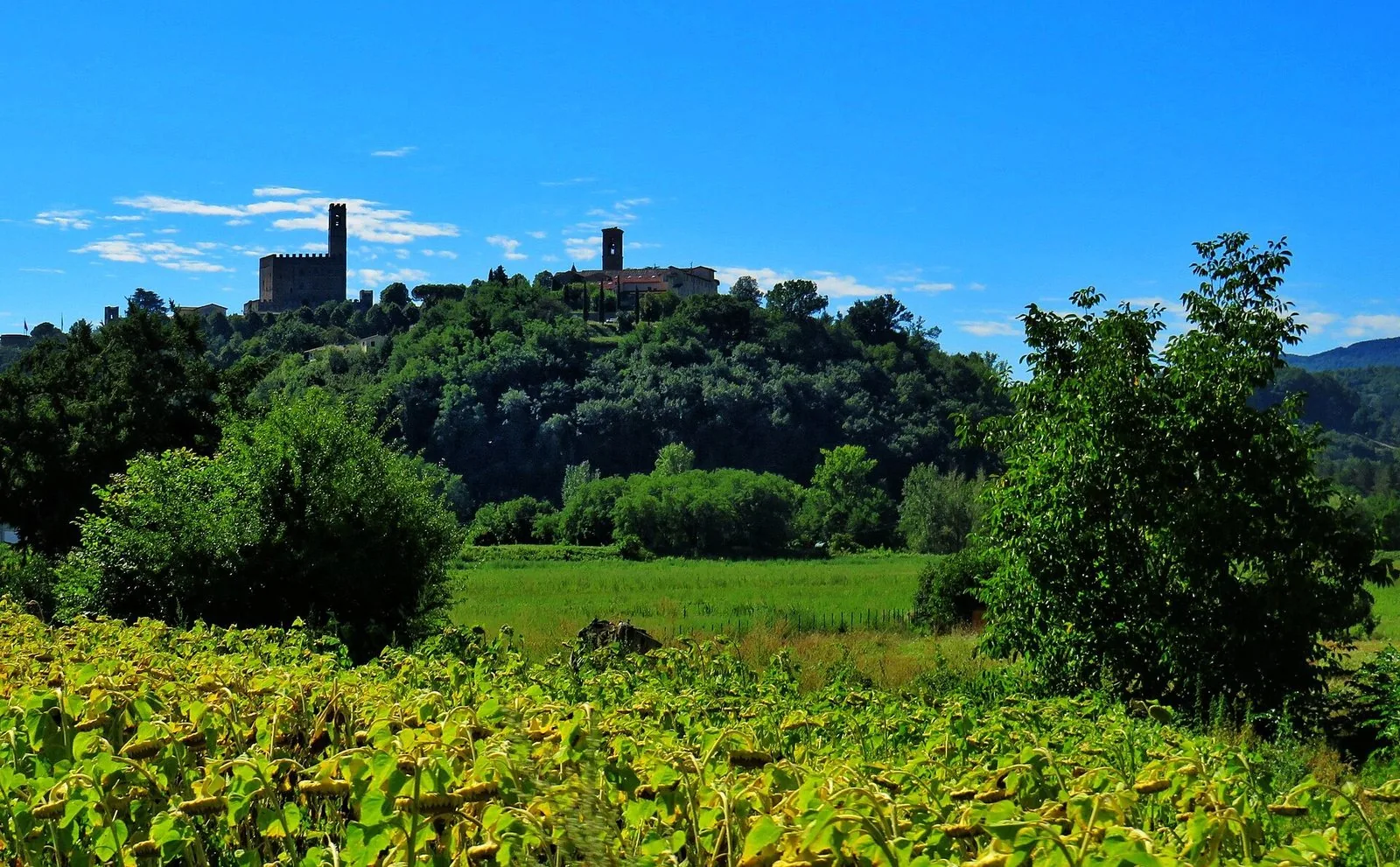 Il Castello dei Conti Guidi sulla collina di Poppi visto dalla piana del Casentino